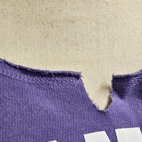 Vtg Y2K Savannah GA Cropped Sweatshirt Size Medium Purple Raw Hems Preppy Grunge - Picture 2 of 7